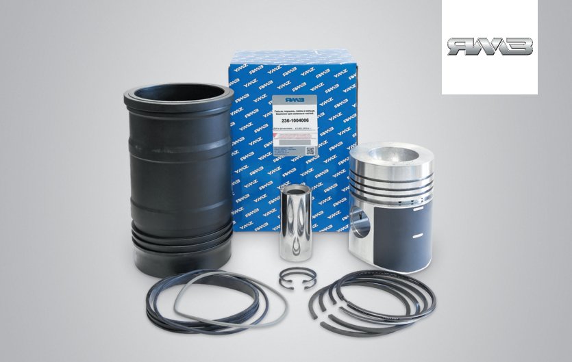 КОМПЛЕКТ ЦПГ 1004006 